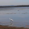 The Glen, Chittaway Point, located near Tuggerah Lake